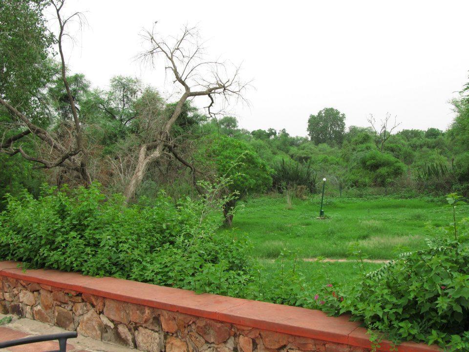 Hotel Bharatpur Ashok ภายนอก รูปภาพ