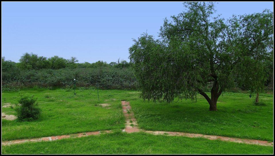 Hotel Bharatpur Ashok ภายนอก รูปภาพ