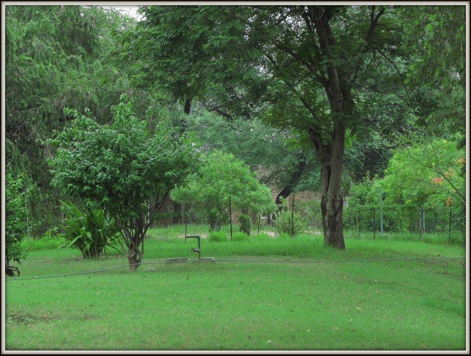 Hotel Bharatpur Ashok ภายนอก รูปภาพ